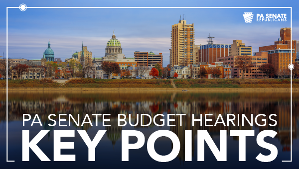 Key Points From Senate Budget Hearings With Department Of State, State ...