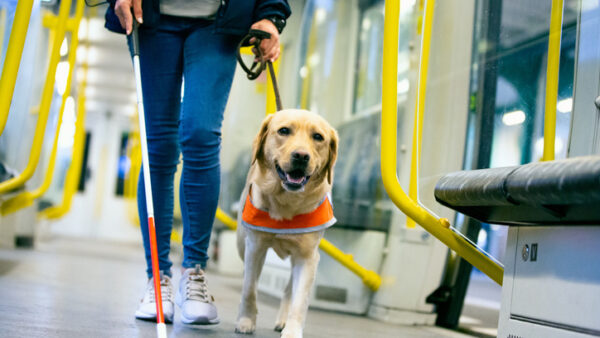 Senate Approves Phillips-Hill’s Bill to Expand Service Dog Fee Exemptions